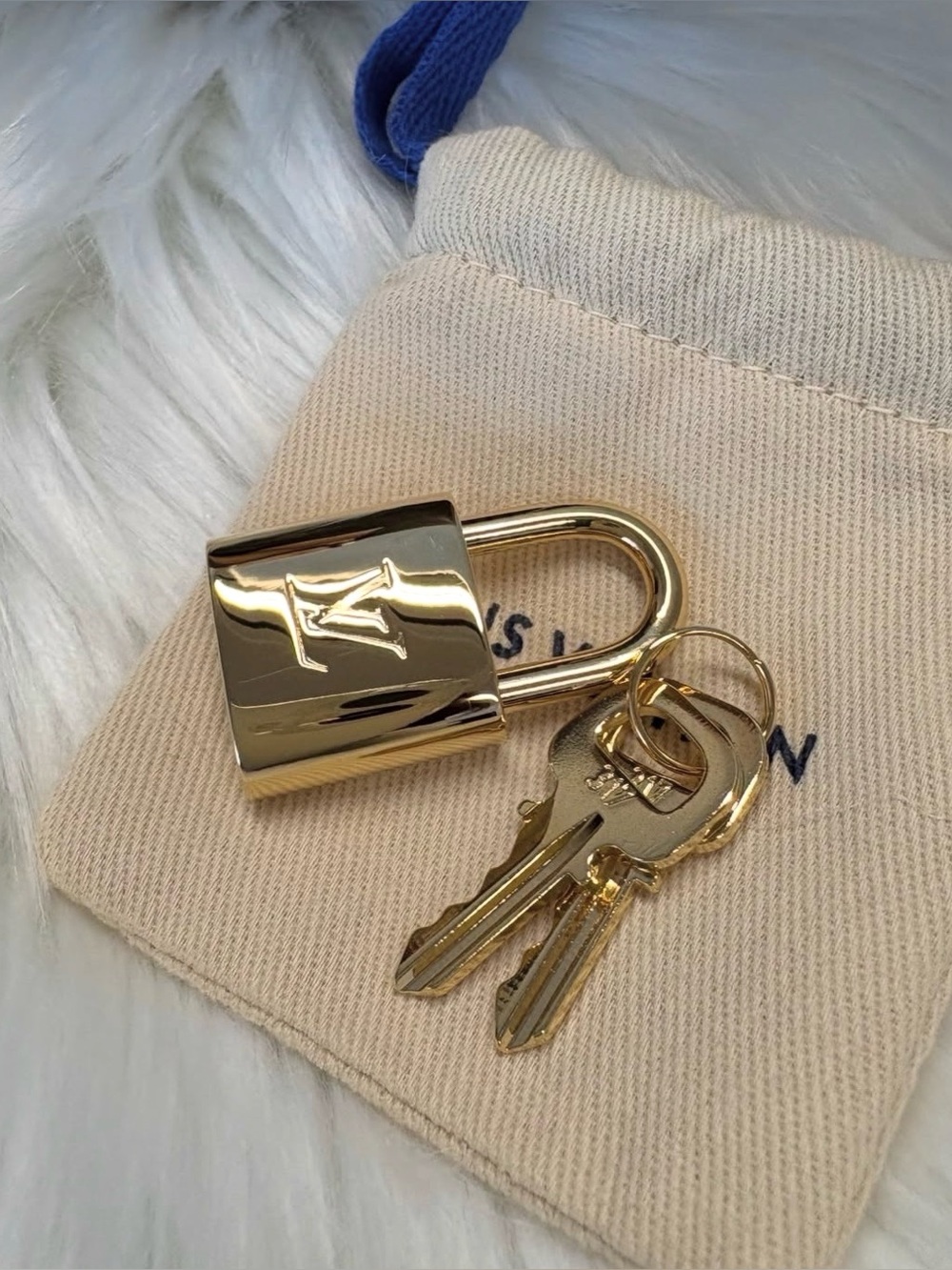 golden padlock and keys LV✨